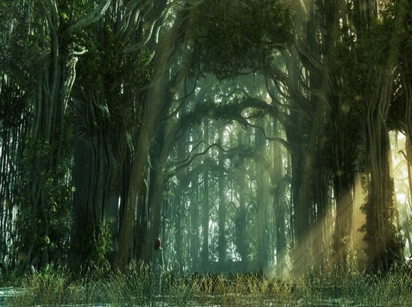 3d wallpapers xp. Dark Forest Animated Wallpaper